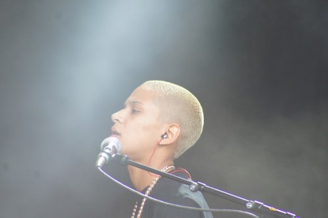 Rockaue in Bonn